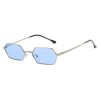 LILISUNLI Polygon Sunglasses for Women, Oversized Octagon Thin Metal Frame UV400 Protection Retro Fashion Sun Glasses